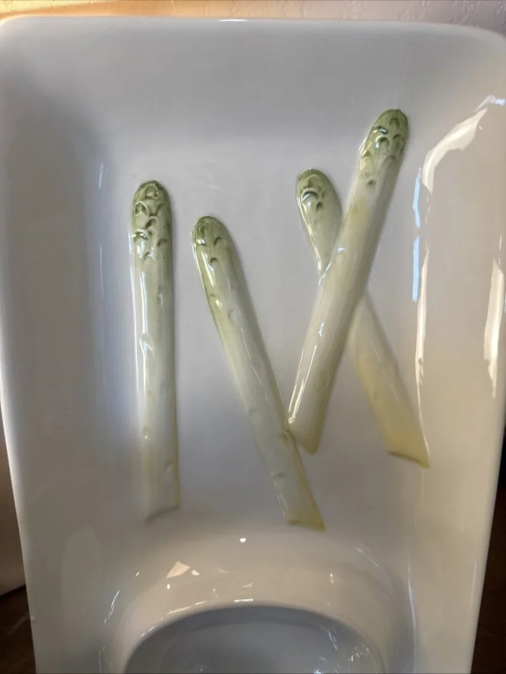 Williams Sonoma Ceramic Pottery Asparagus Platter & Sauce Tray Made in Italy